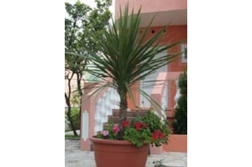 Monténégro Privát Budva, Extérieur